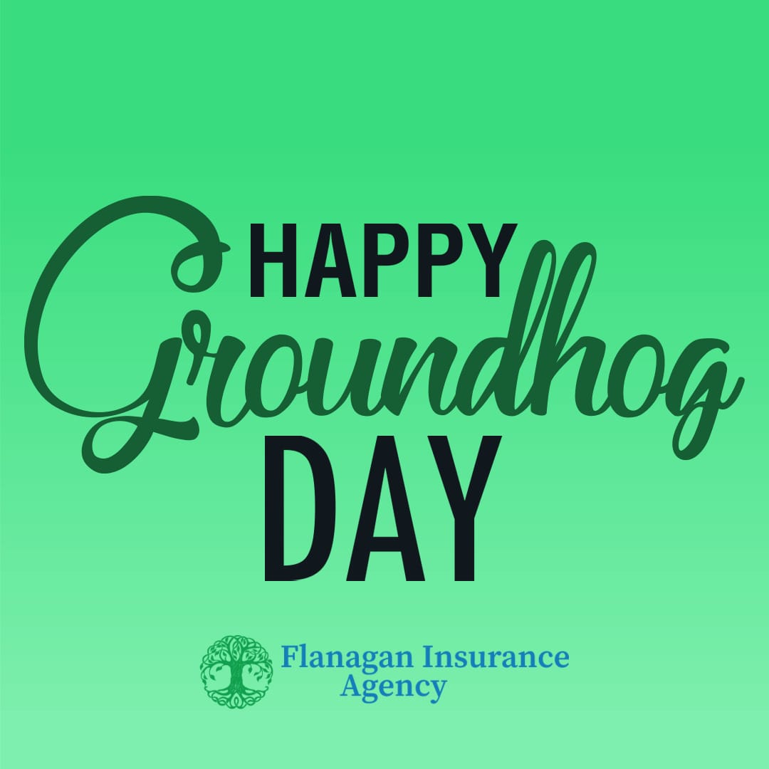 Happy GroundhogDay Will the groundhog see its shadow this year