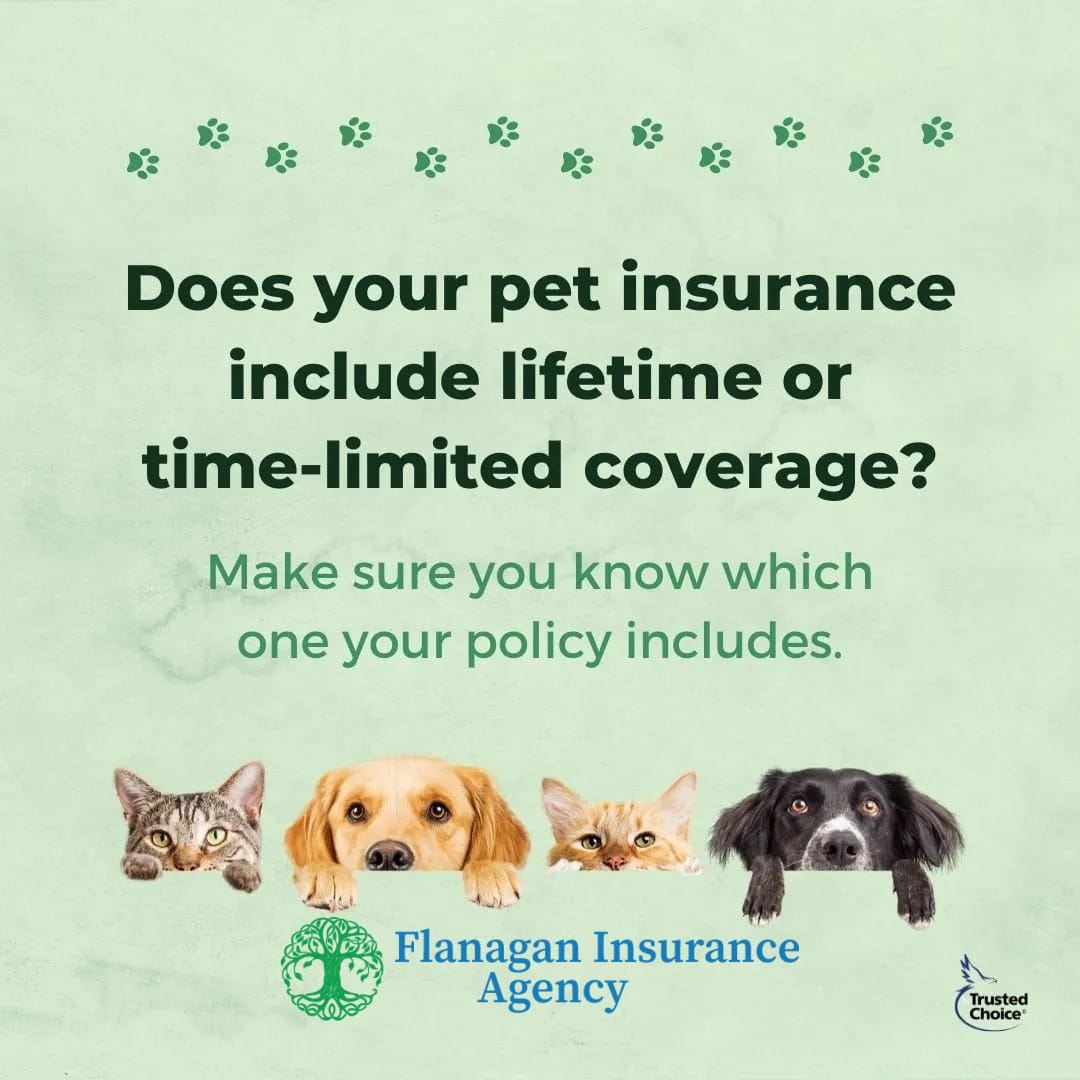 Make sure you understand the terms of your pet insurance policy.Contact us at 508-625-1275 or kflanagan1@farmersagent.comVisit our website at https://www.theflanaganagencyllc.com