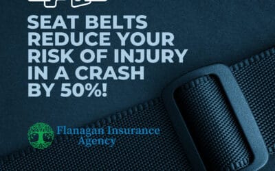 Seat Belts Reduce Your Risk of Injury in a Crash by 50% #drivesafe Contact us at 508-625-1275 or kflanagan1@farmersagent.com Visit our website at https://www.theflanaganagencyllc.com