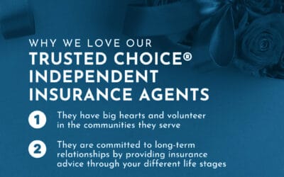 Here are just a few of the reasons why we love our Trusted Choice independent insurance agents! #insuranceagent