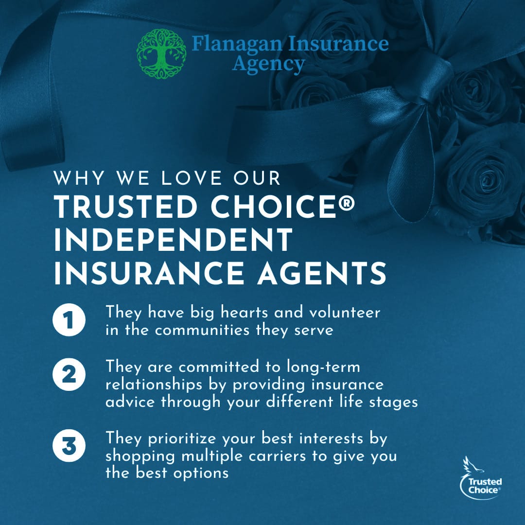 Here are just a few of the reasons why we love our Trusted Choice independent insurance agents