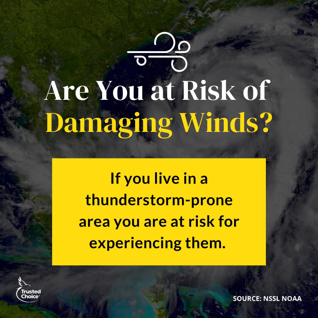 Strong winds can cause some serious danger. Do you get high, possibly, damaging winds where you live?Contact us at 508-625-1275 or kflanagan1@farmersagent.comVisit our website at https://www.theflanaganagencyllc.com