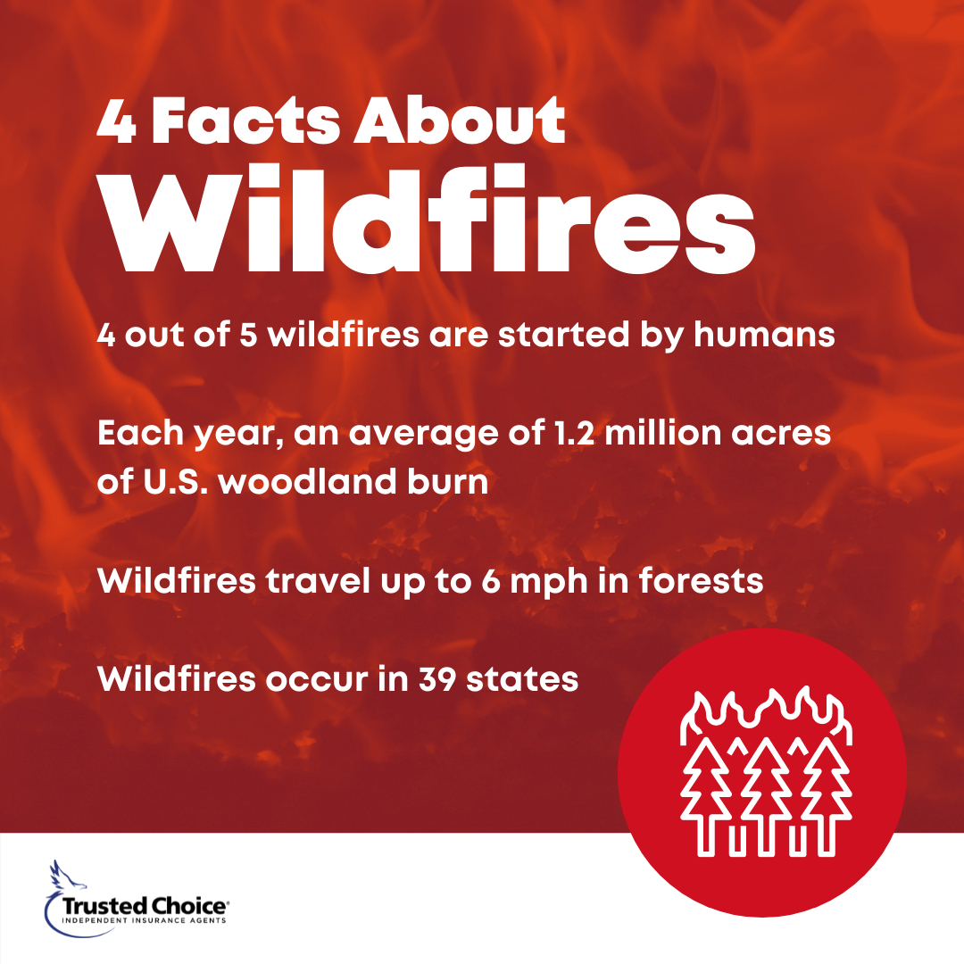 Did you know wildfires occur in 39 states?Contact us at 508-625-1275 or kflanagan1@farmersagent.comVisit our website at https://www.theflanaganagencyllc.com