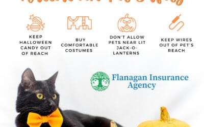 Keep your furry friends safe this halloween! Contact us at 508-625-1275 or kflanagan1@farmersagent.com Visit our website at https://www.theflanaganagencyllc.com