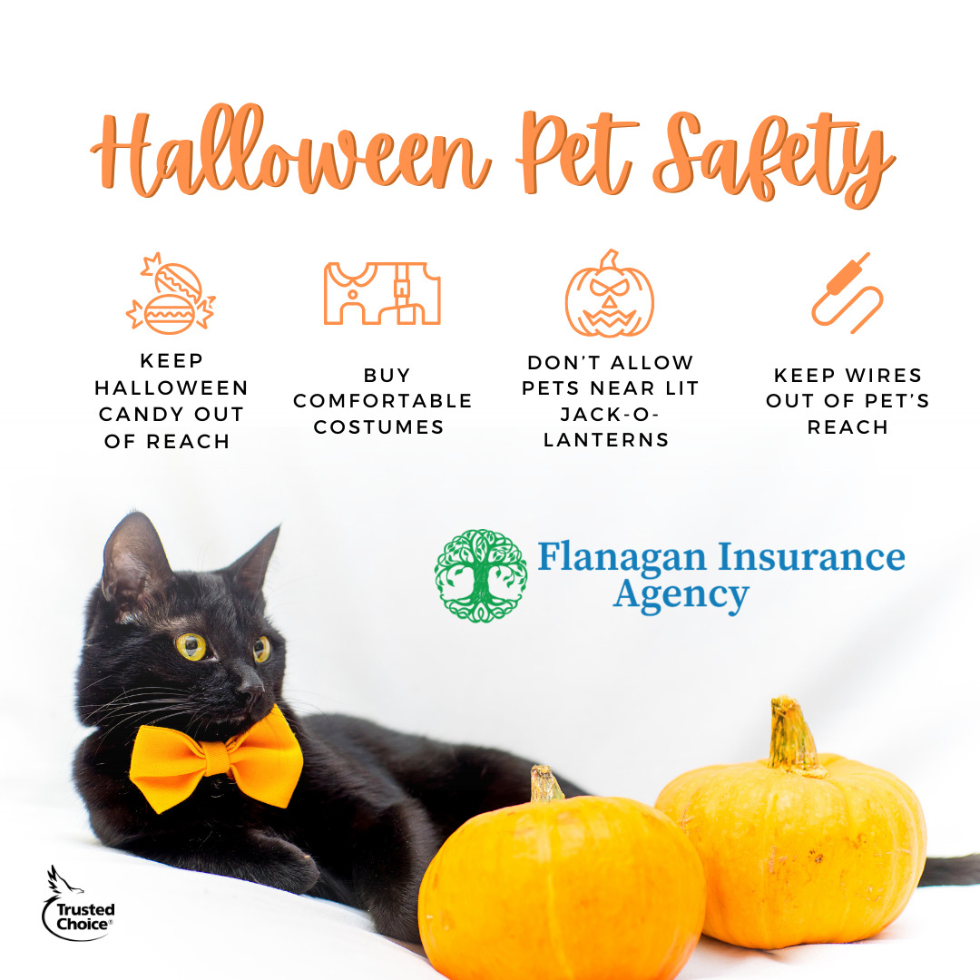 Keep your furry friends safe this halloween!Contact us at 508-625-1275 or kflanagan1@farmersagent.comVisit our website at https://www.theflanaganagencyllc.com