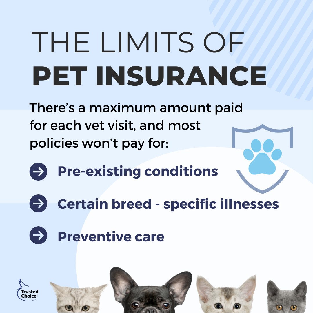 Pet insurance can help protect your furry friends but make sure you understand the limits.Contact us at 508-625-1275 or kflanagan1@farmersagent.comVisit our website at https://www.theflanaganagencyllc.com